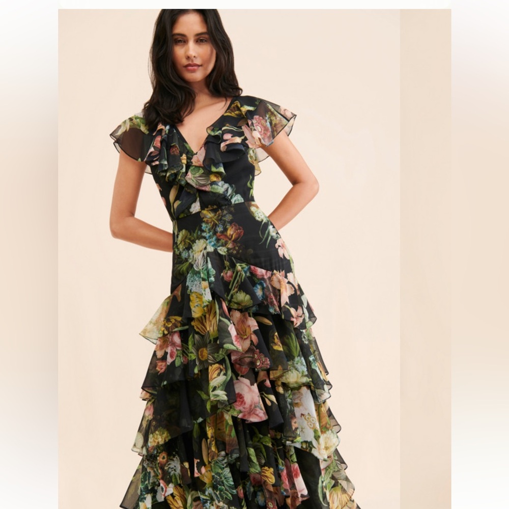 Anthropologie Pankaj & Nidhi Floral Chiffon Ruffle Maxi Dress